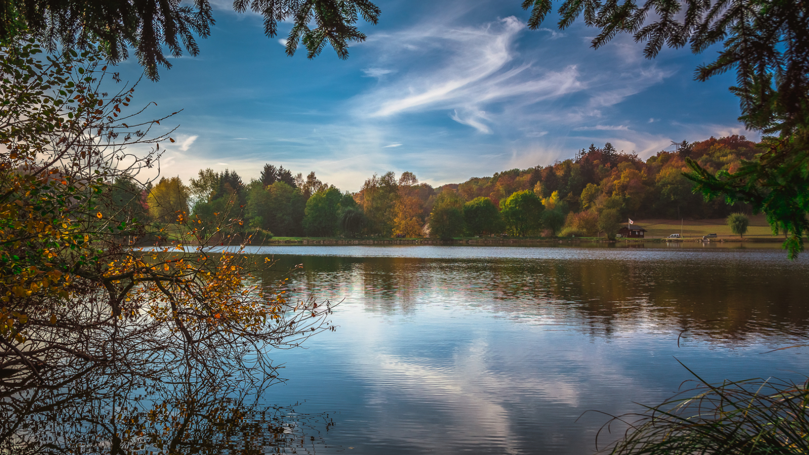 Parc des Dronières