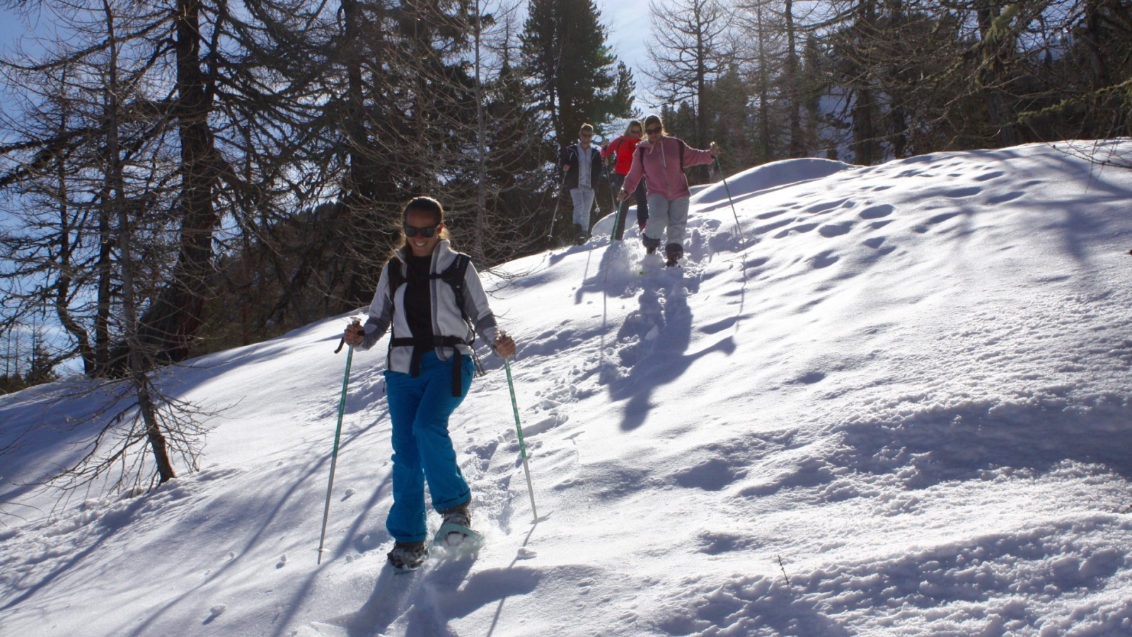 balade en forêt