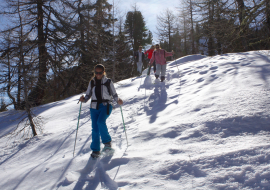 balade en forêt