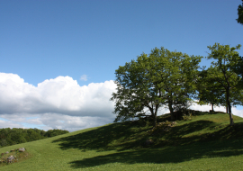 POINT DE VUE