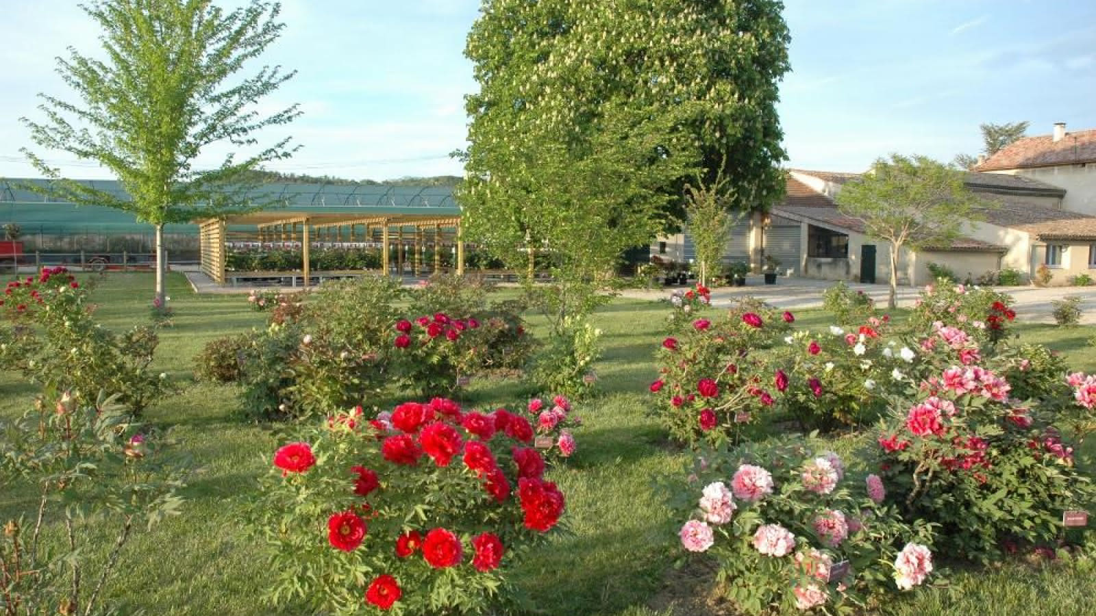 Week-end senteurs botaniques et villages perchés de la Vallée de la Drôme