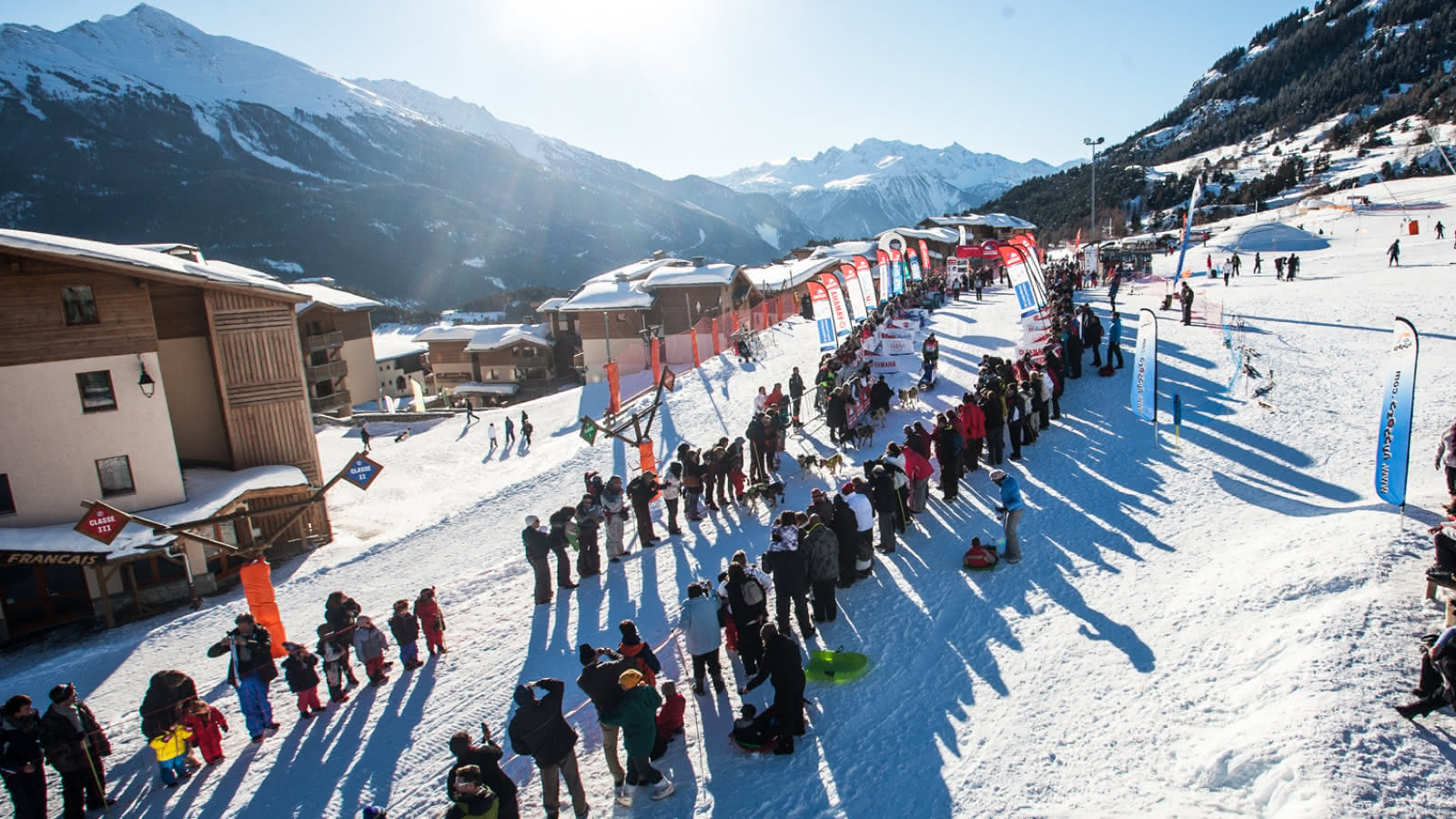 Séjour chiens de traineaux à Aussois