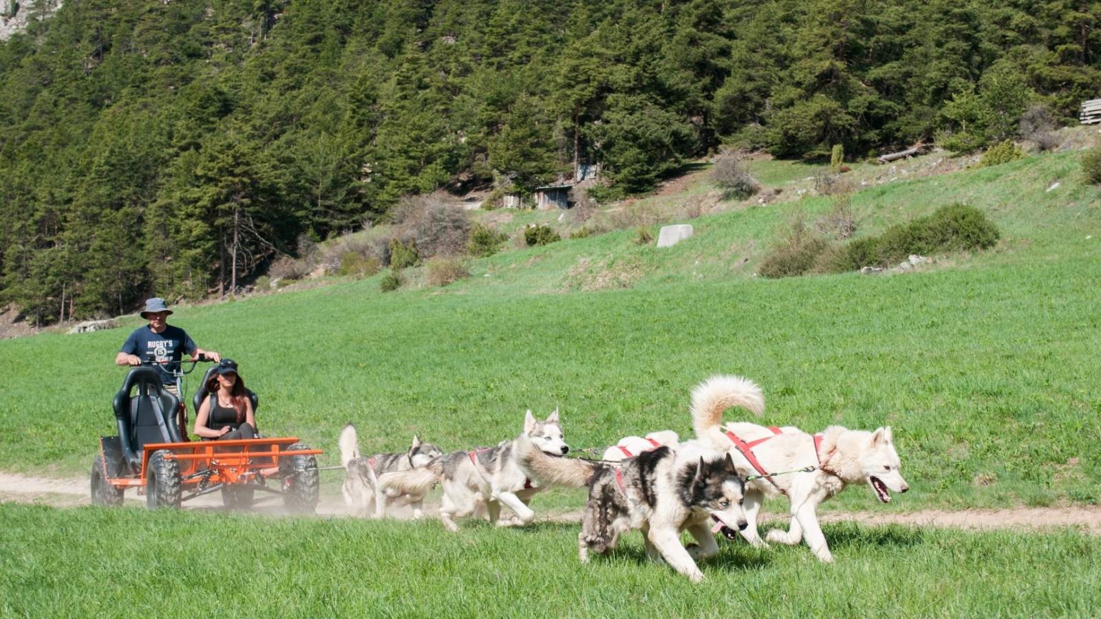 Husky Adventure dog karting in Aussois