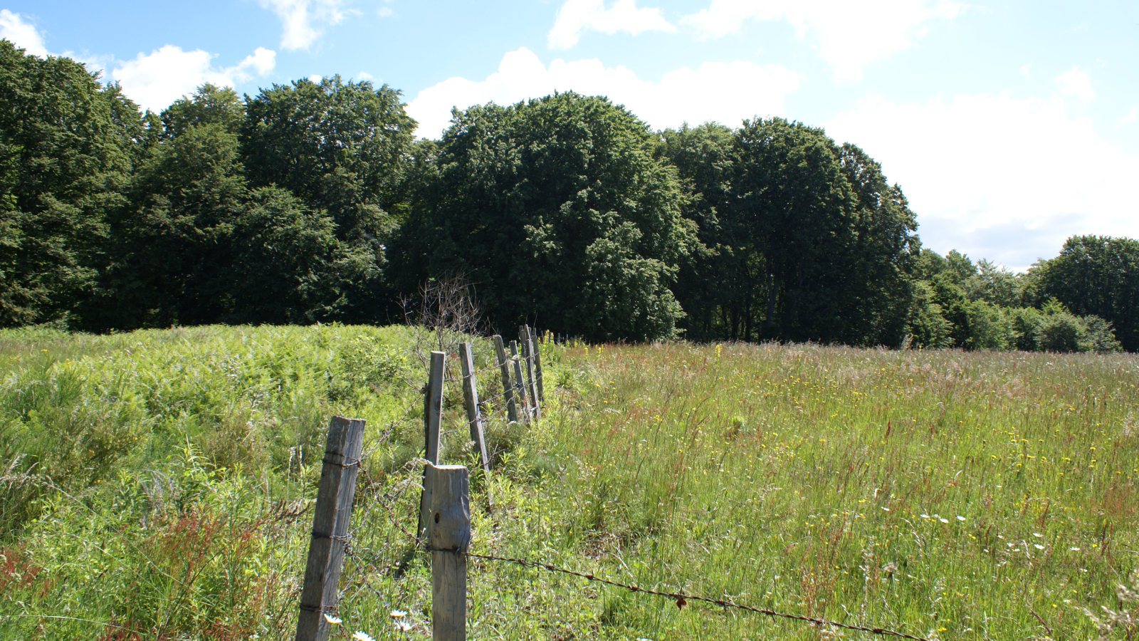 Sur le plateau de Vigouroux