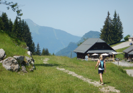 Plateau d'Agy