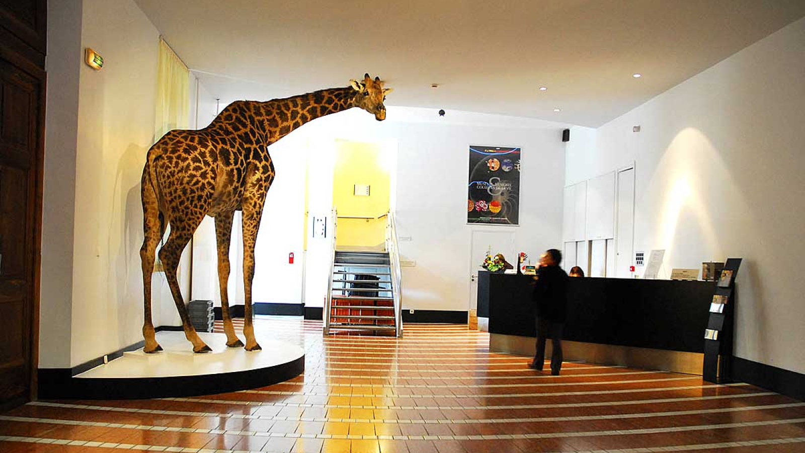 Muséum d'Histoire Naturelle