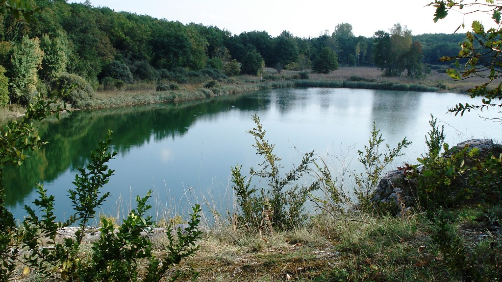 Lac de Chailloux Contrevoz