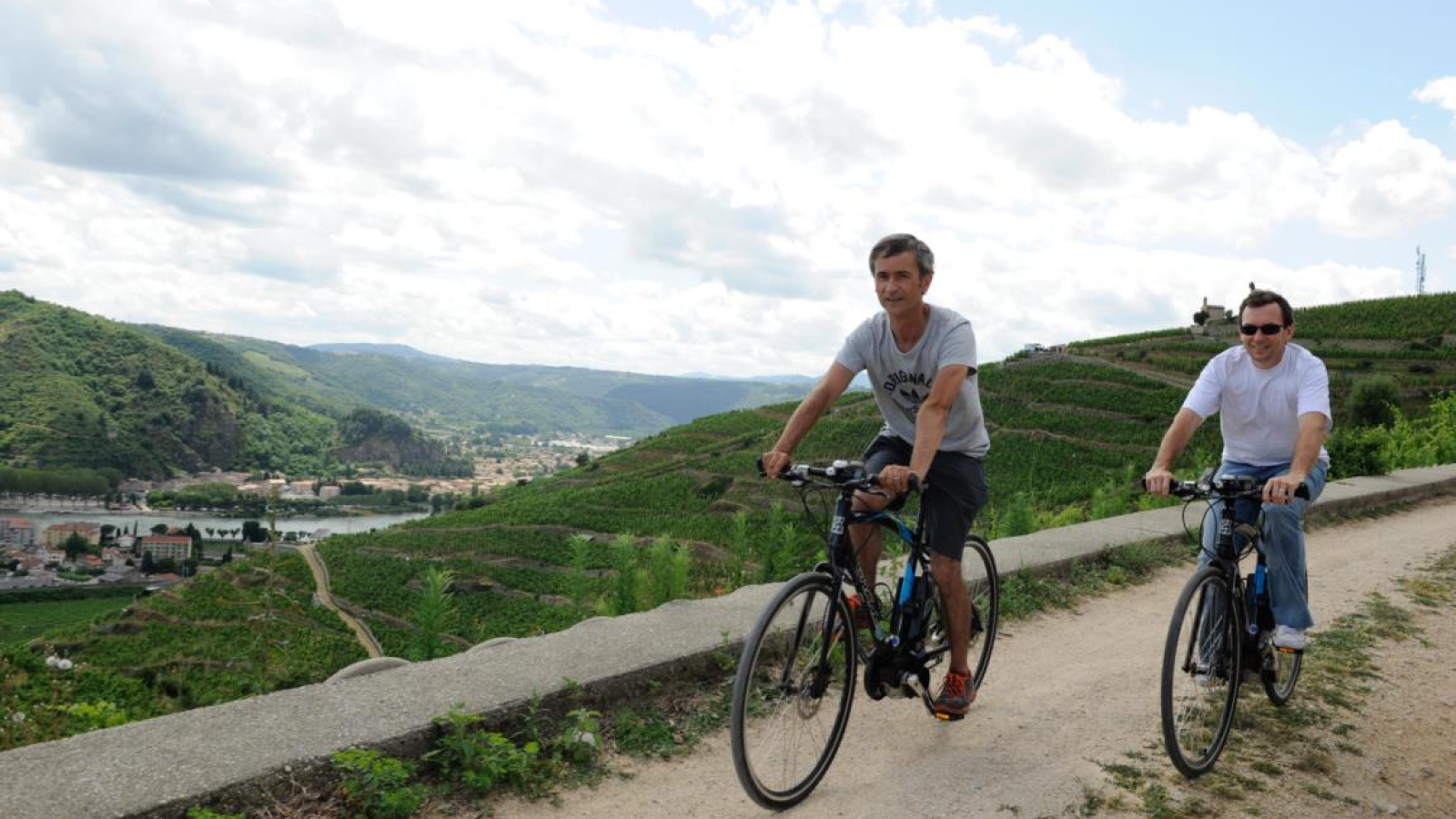 Vélo électrique dansles vignes