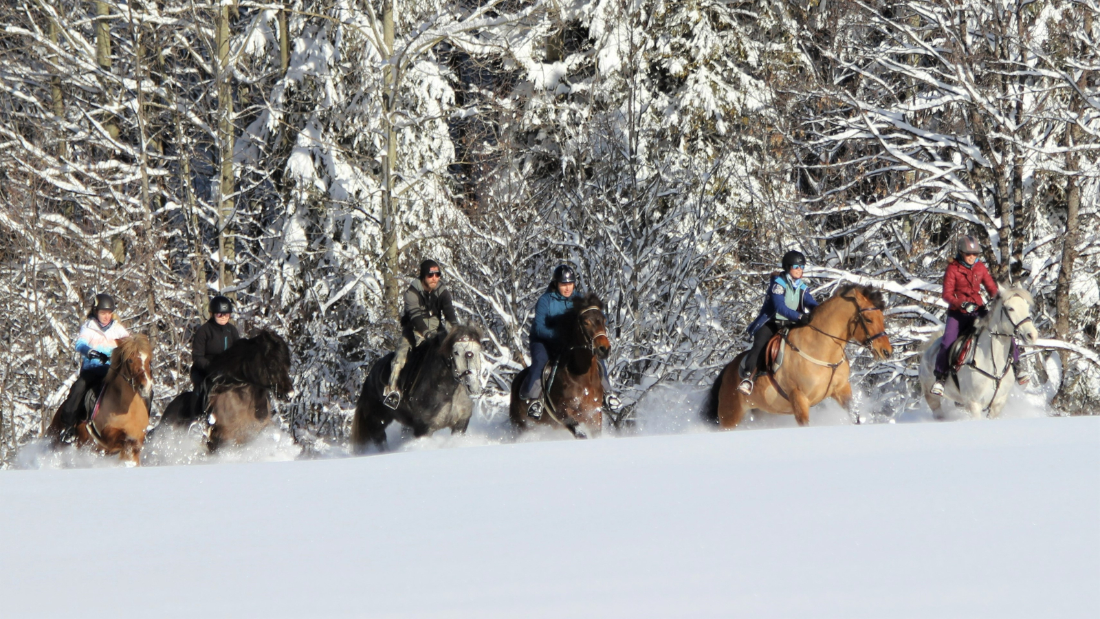 balade confirmée hiver2