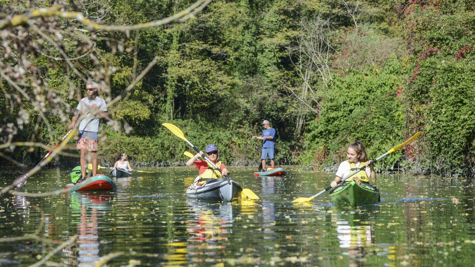 Kayak sur le Rhône sauvage