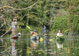 Kayak sur le Rhône sauvage