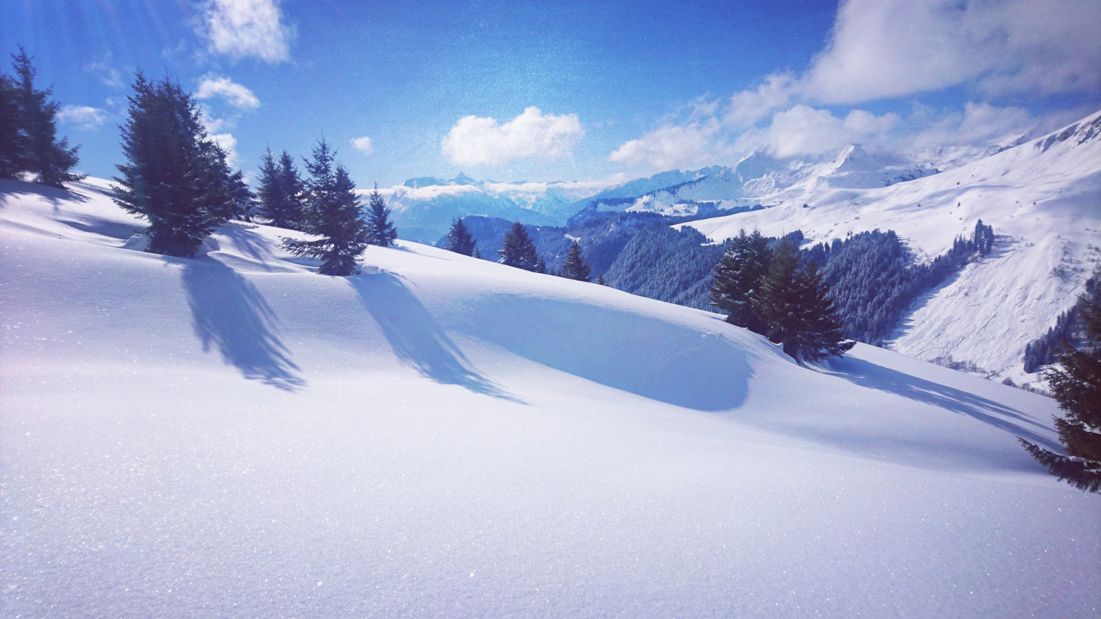 Magical Snow Treks