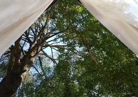 Réveil sous sous les arbres