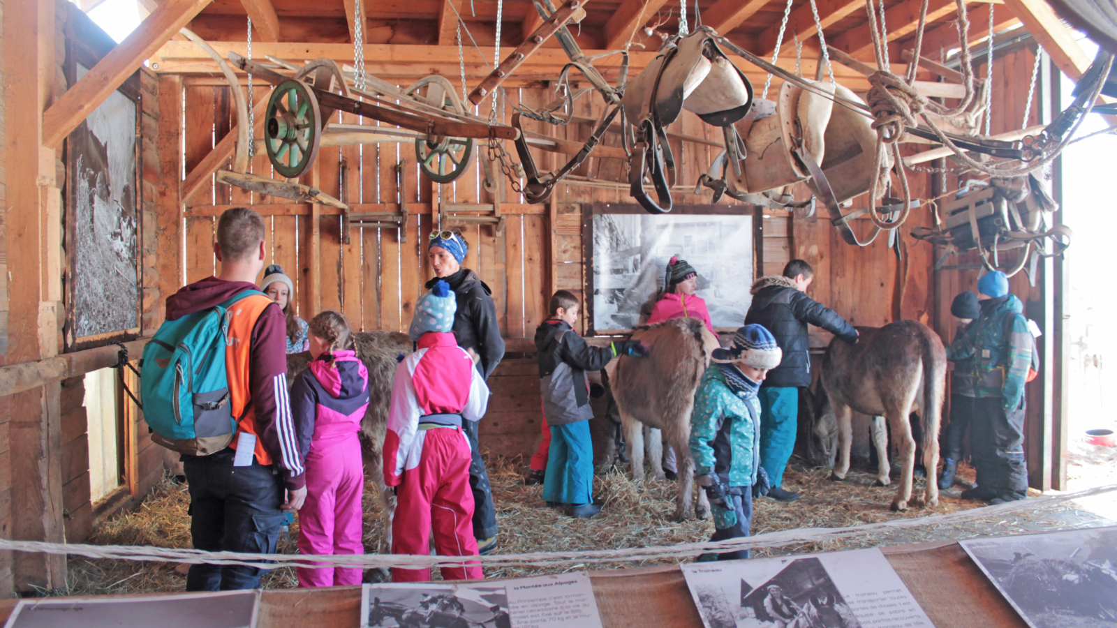 Visite groupe - Ferme des ânes