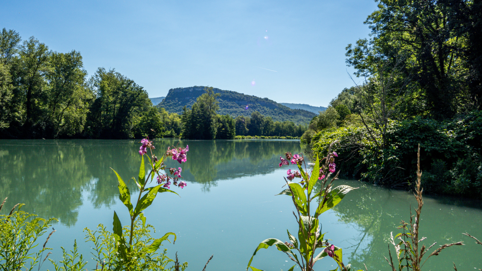 Vue sur le Rhône depuis le sentier Envirhôna - Balcons du Dauphiné