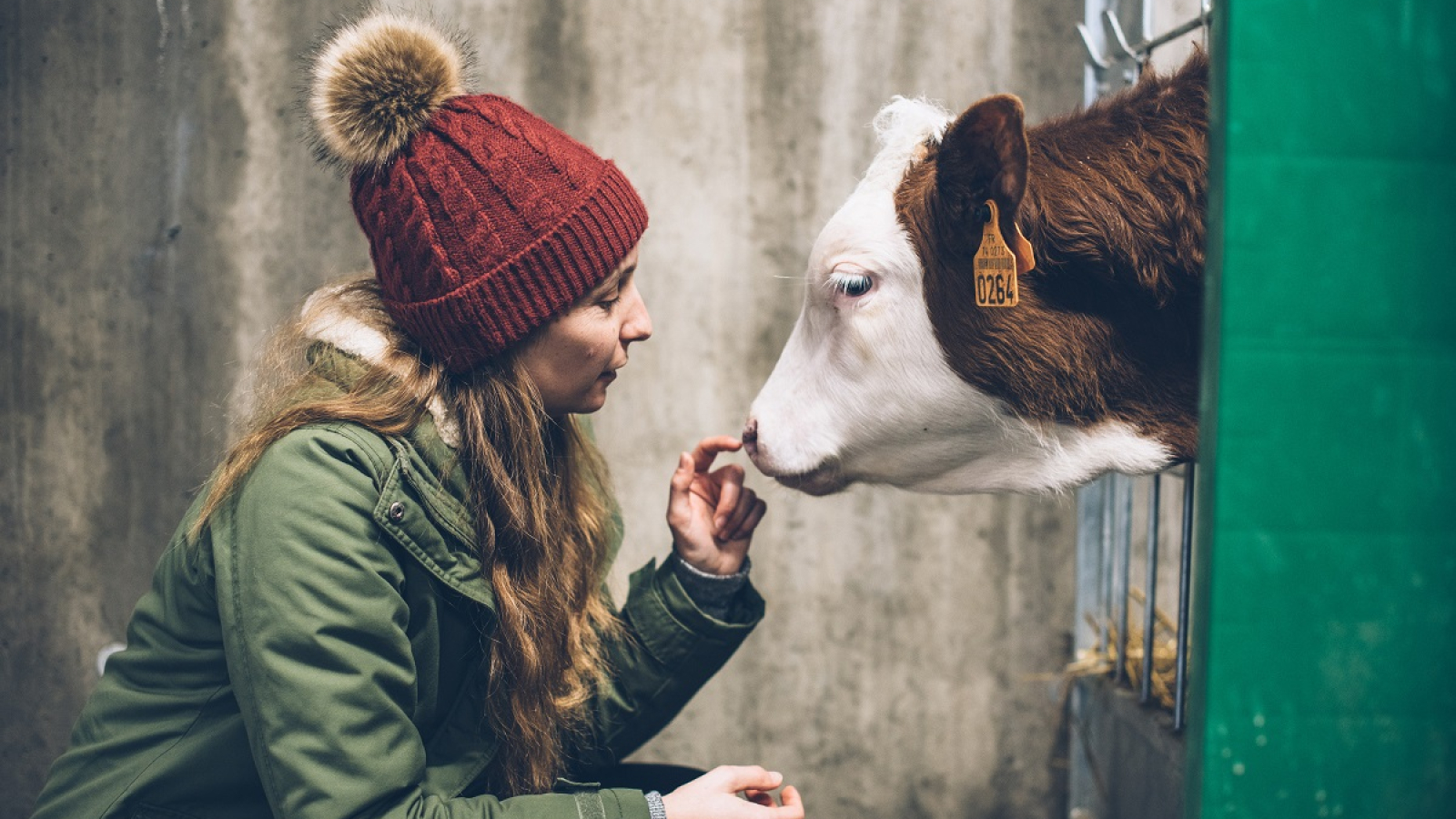 Goûter à la ferme