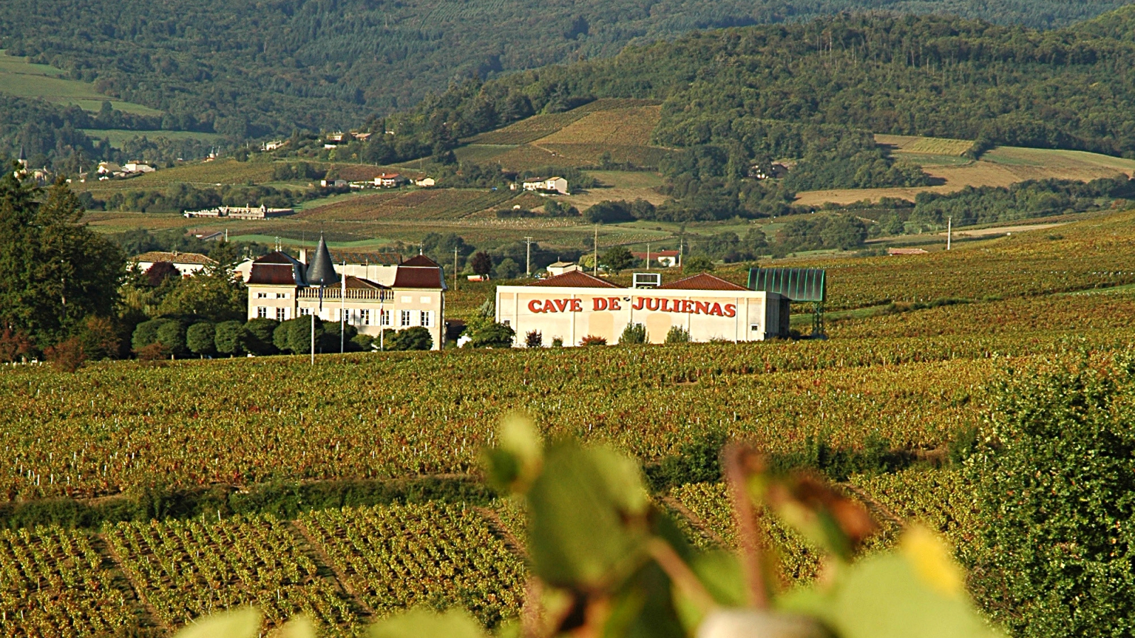 Cave de Juliénas