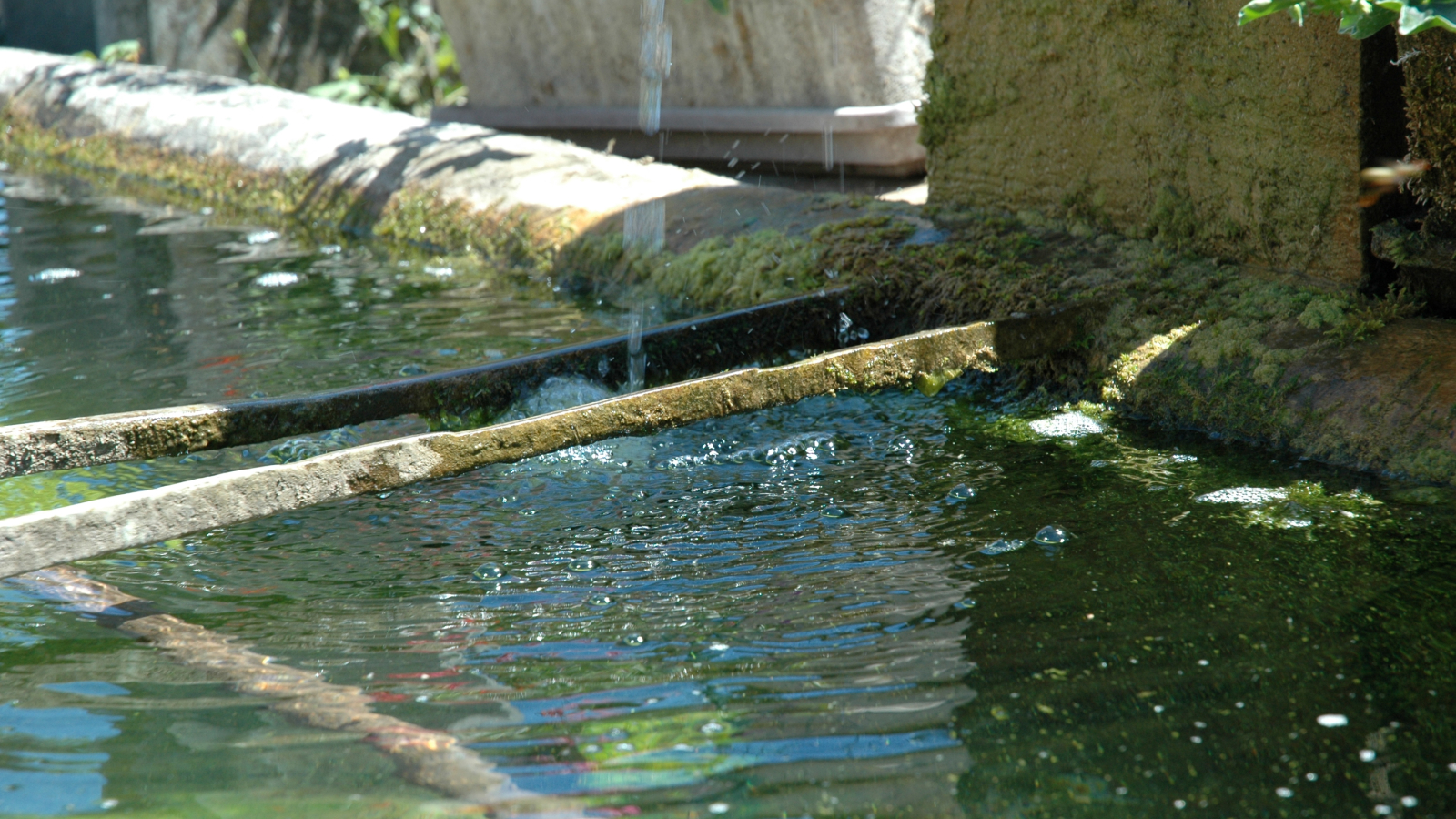 Lavoir - Arandon-Passins -  Balcons du Dauphiné - Nord-Isère - à moins d'une heure de Lyon