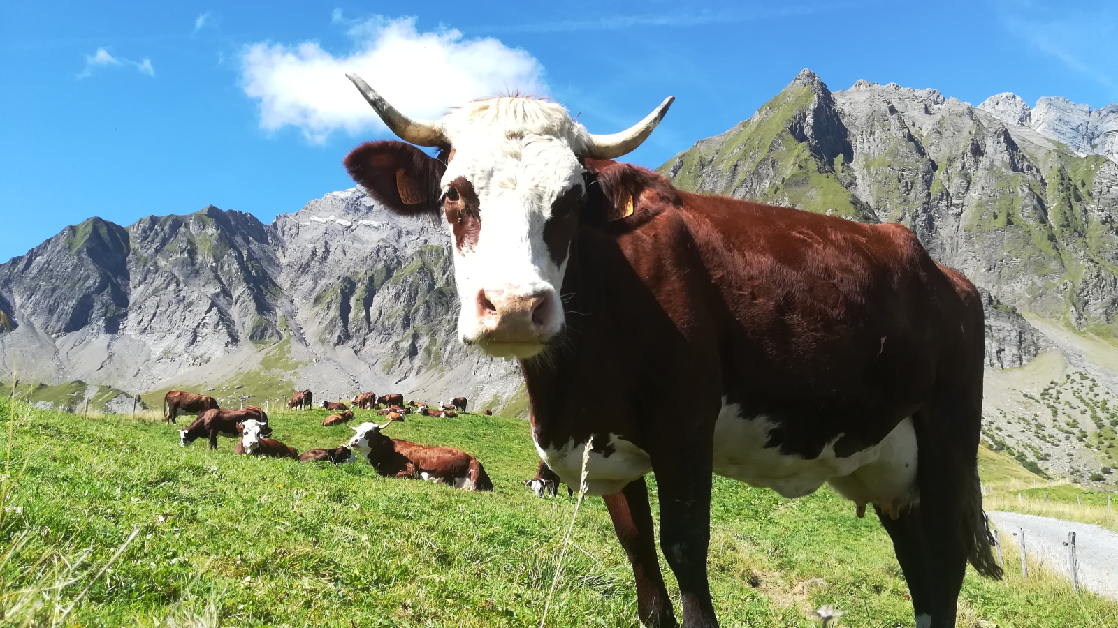 Col des Aravis