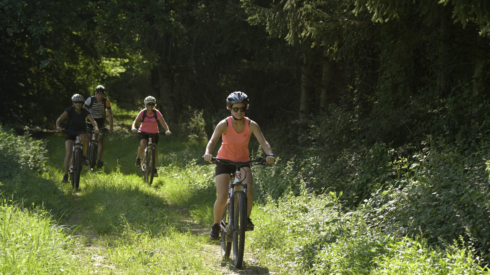 Circuit VTT Entre Bièvre et Rhône