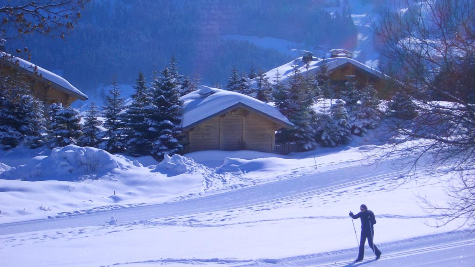 Piste de ski de fond verte