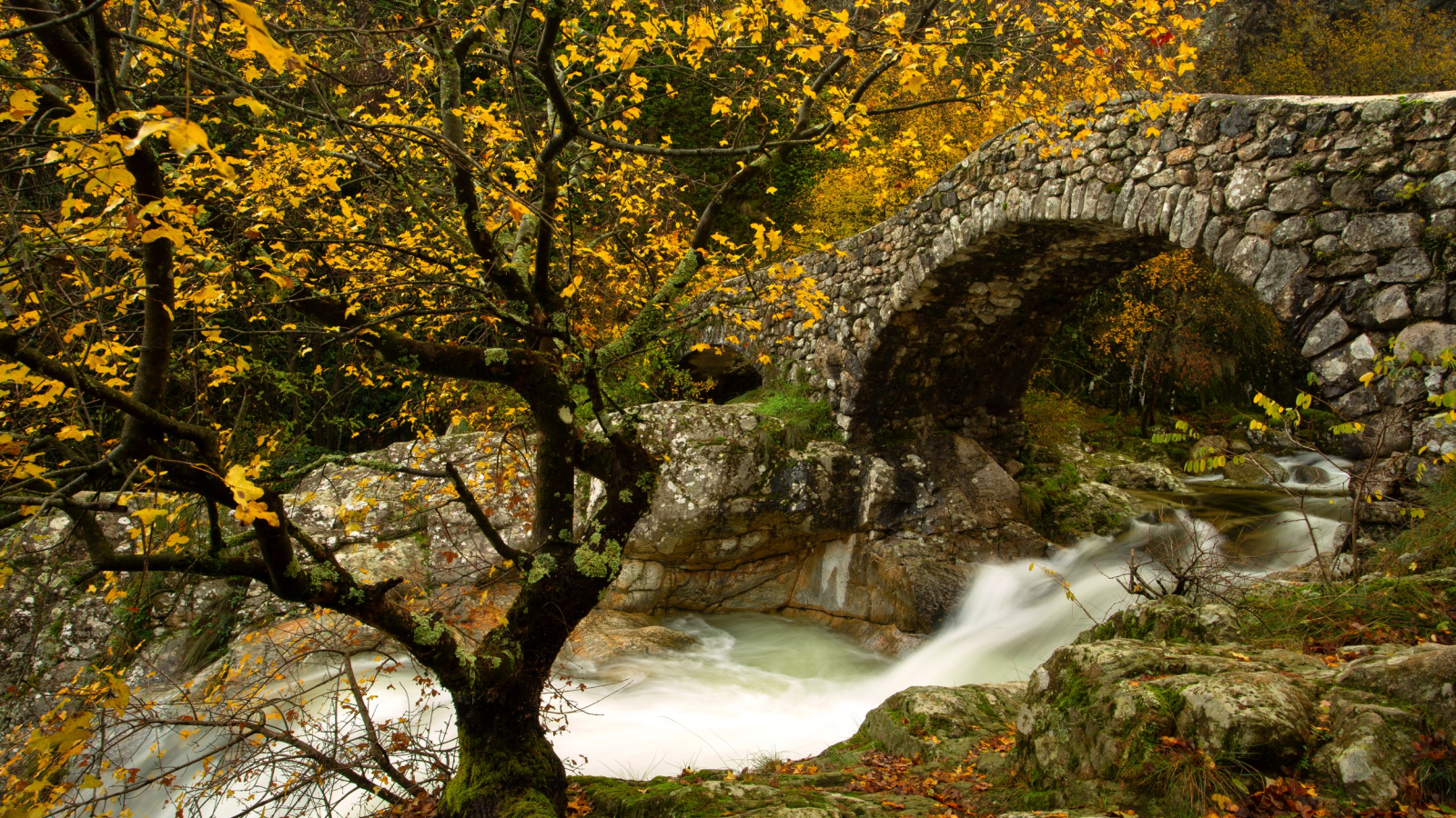 Jaujac - Pont Romain ©S.BUGNON