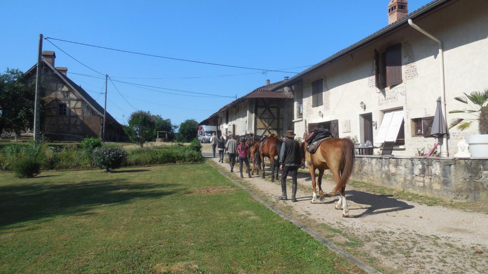 accueil les chevaux en toute sécurité2