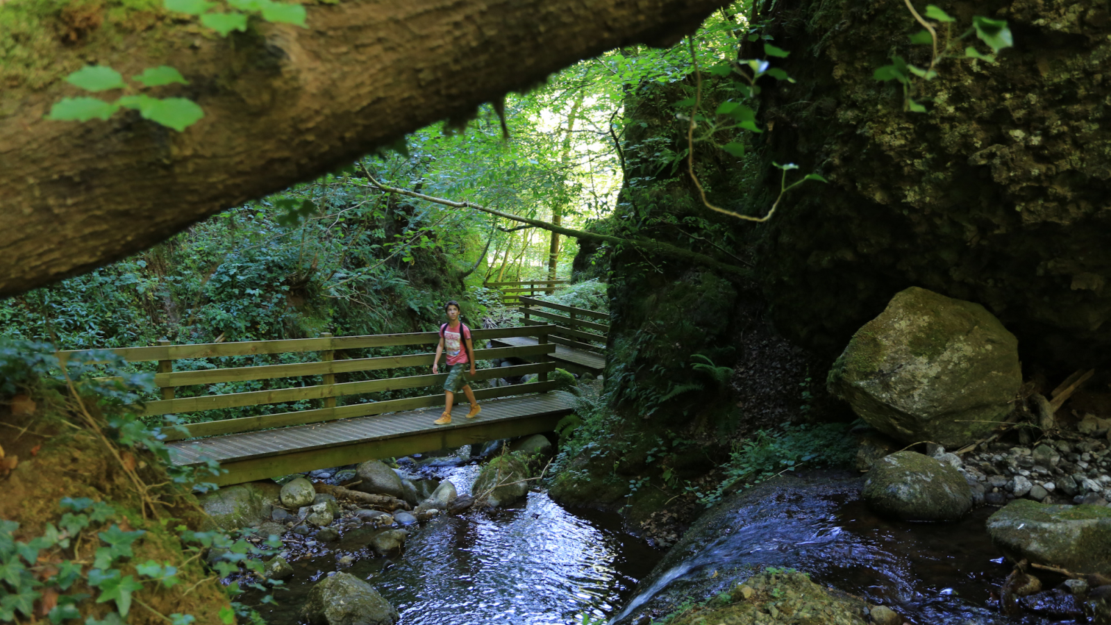 Passerelles dans la vallée