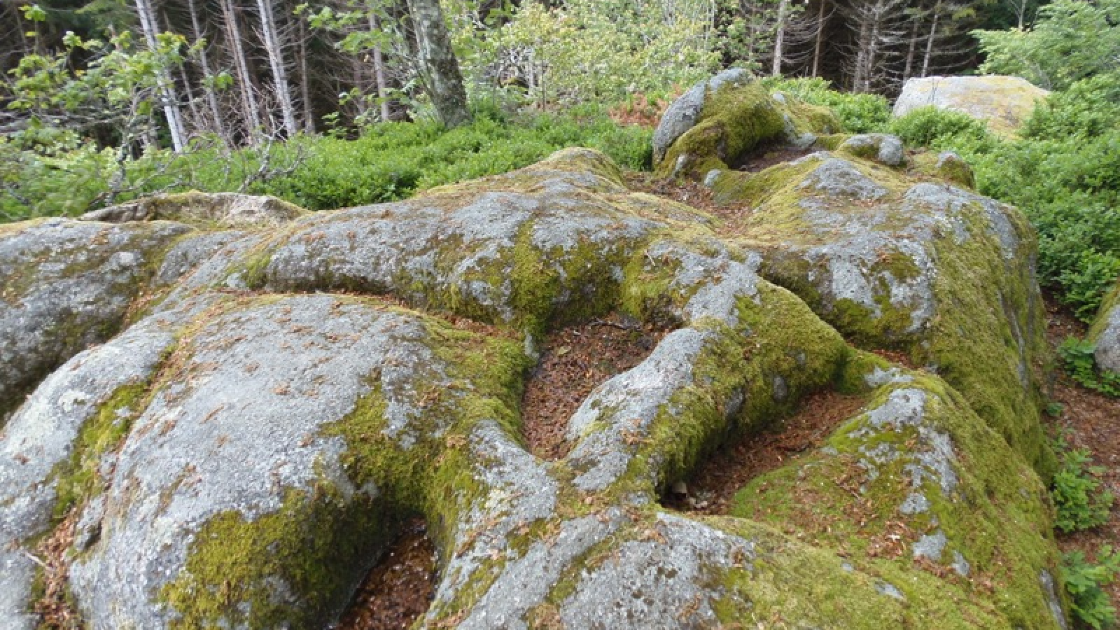 rocher à cupules