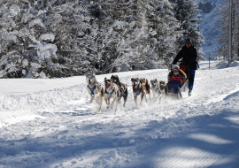 Traineau à chiens 2