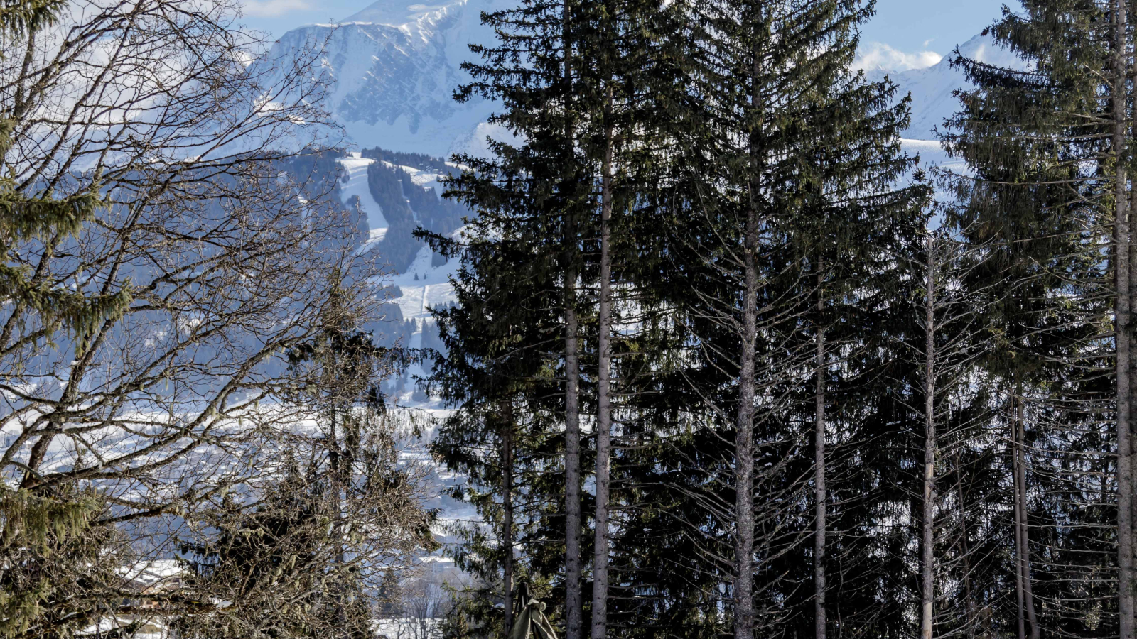 Expérience Grand Nord Junior - Tipi