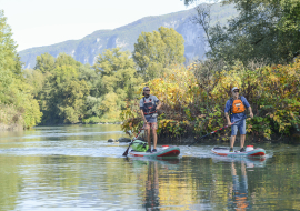 Paddle sur le Rhône sauvage