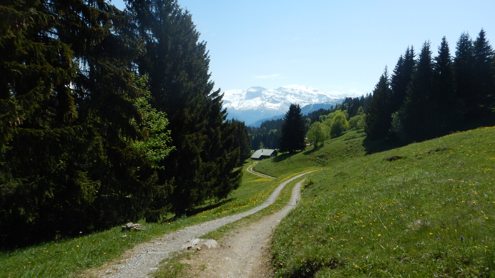 Plateau d'Agy