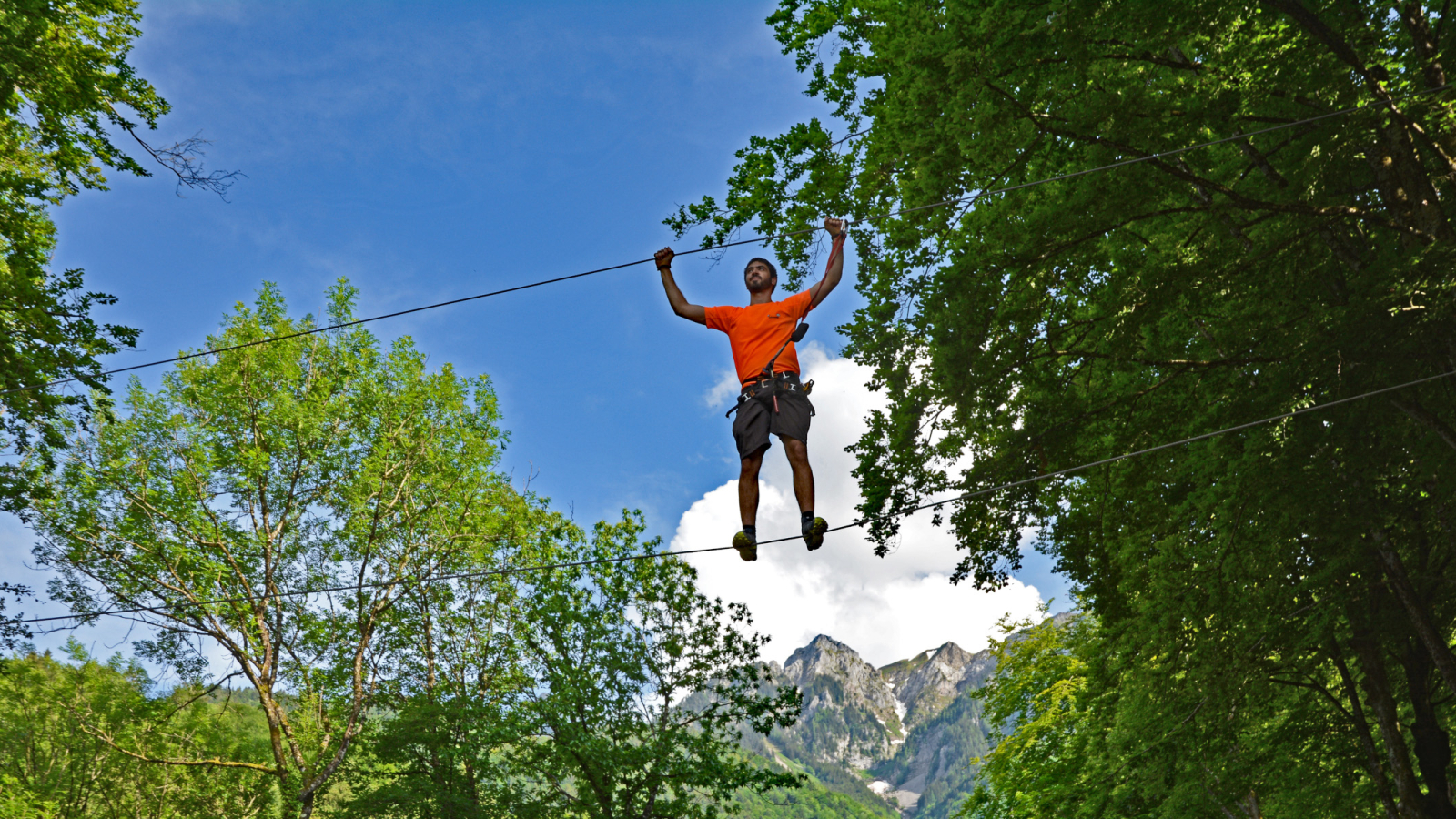 Léman Forest