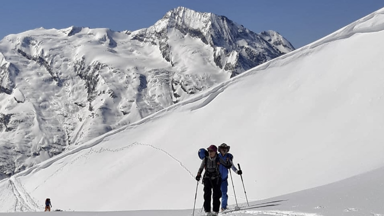 Groupe de skieurs rando évoluant dans un décor hivernal en hors piste, accompagné par un moniteur Snocool