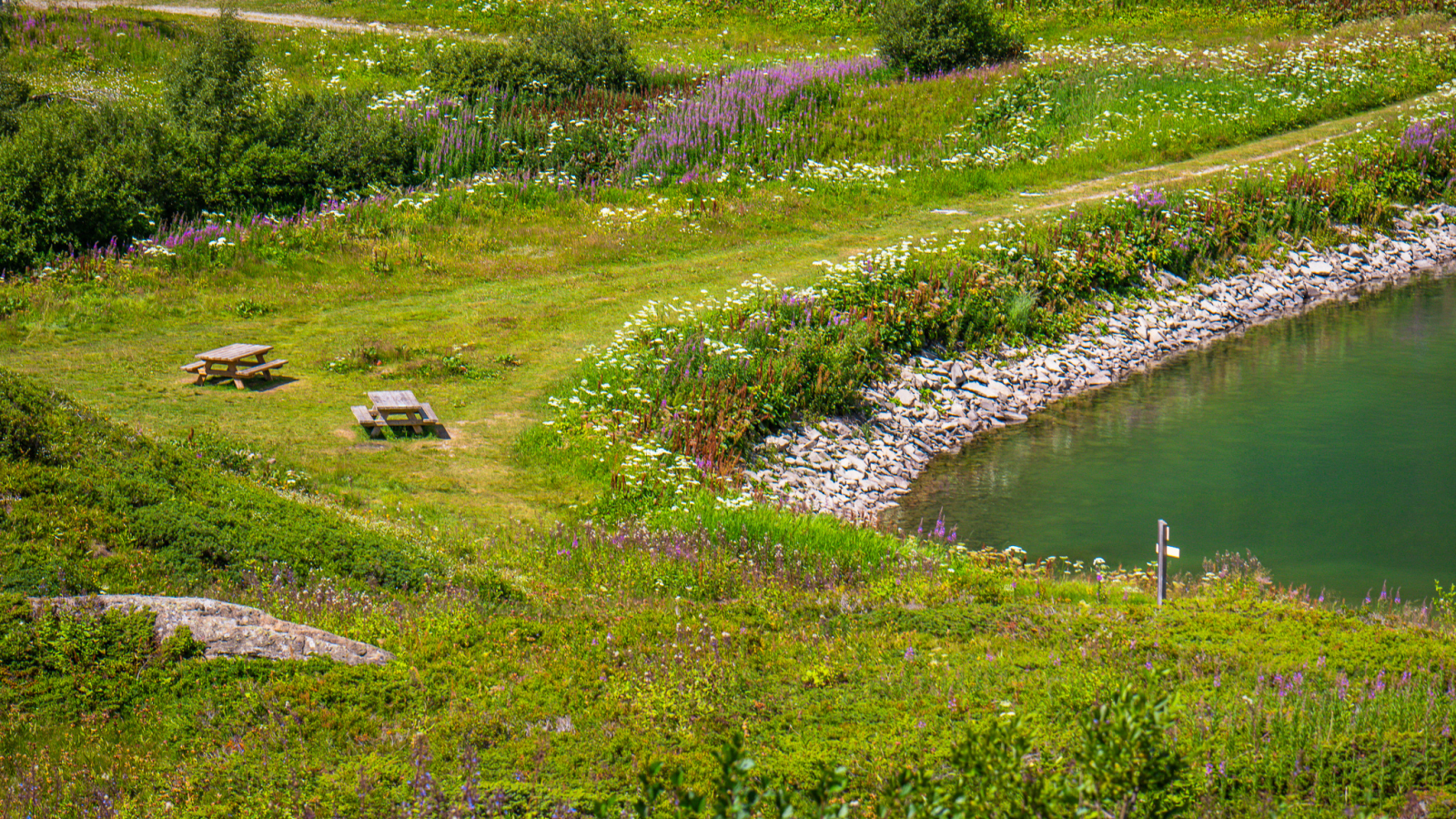 View of the two picnic tables on the shores of Lac de Vernant