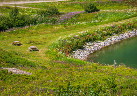 View of the two picnic tables on the shores of Lac de Vernant