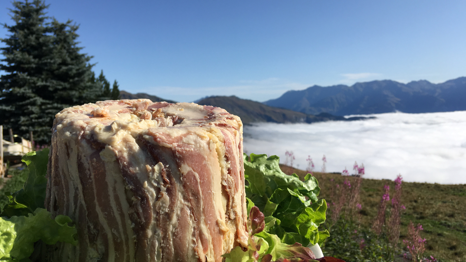 La terrasse des aiguilles