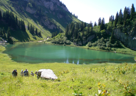 Trail running Portes du Soleil