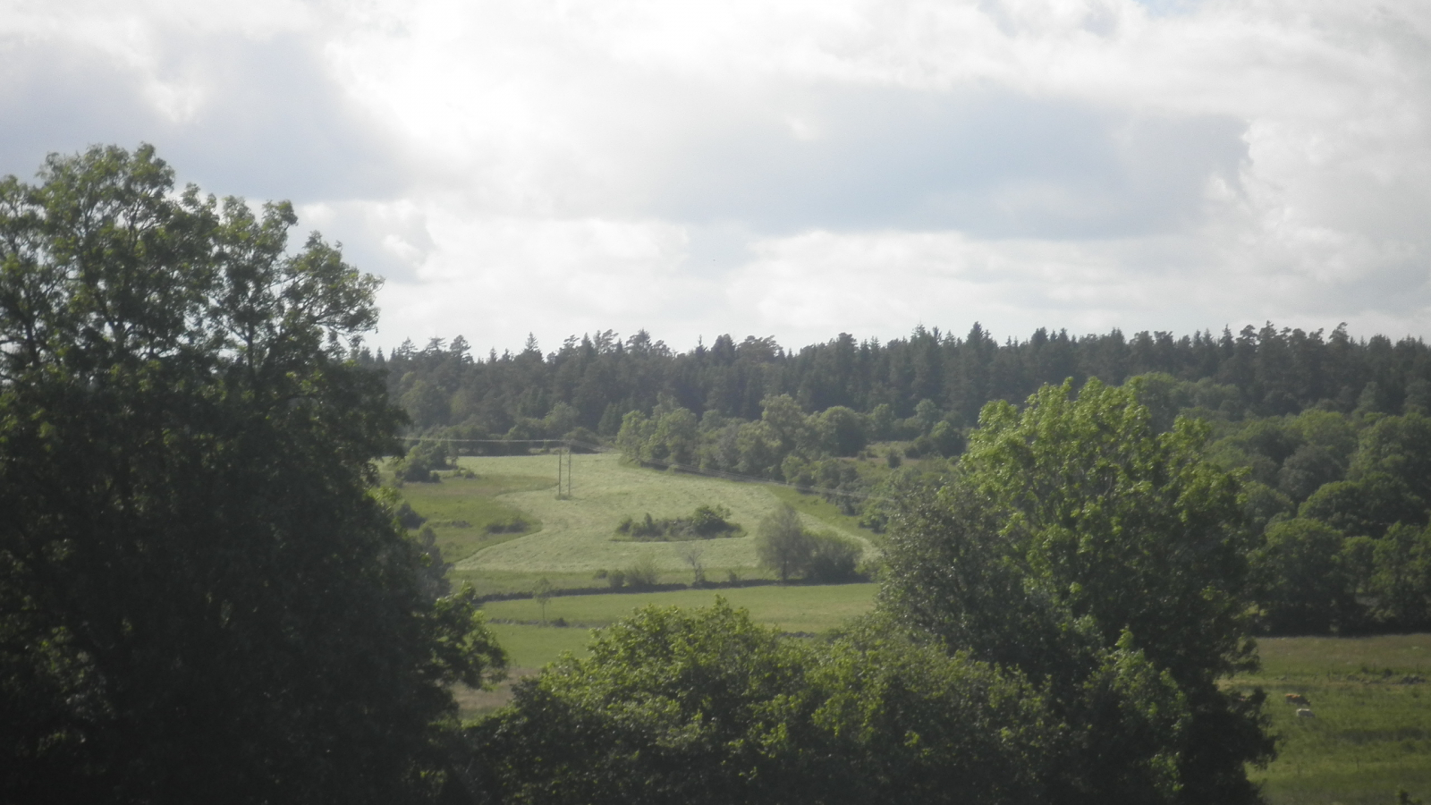 Bois de Chabridet