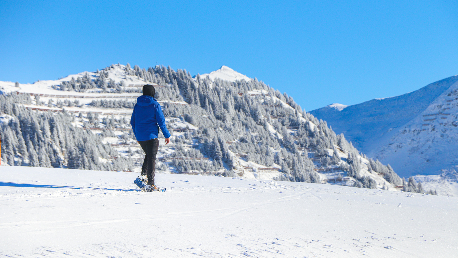 Sortie accompagnée en raquettes à neige