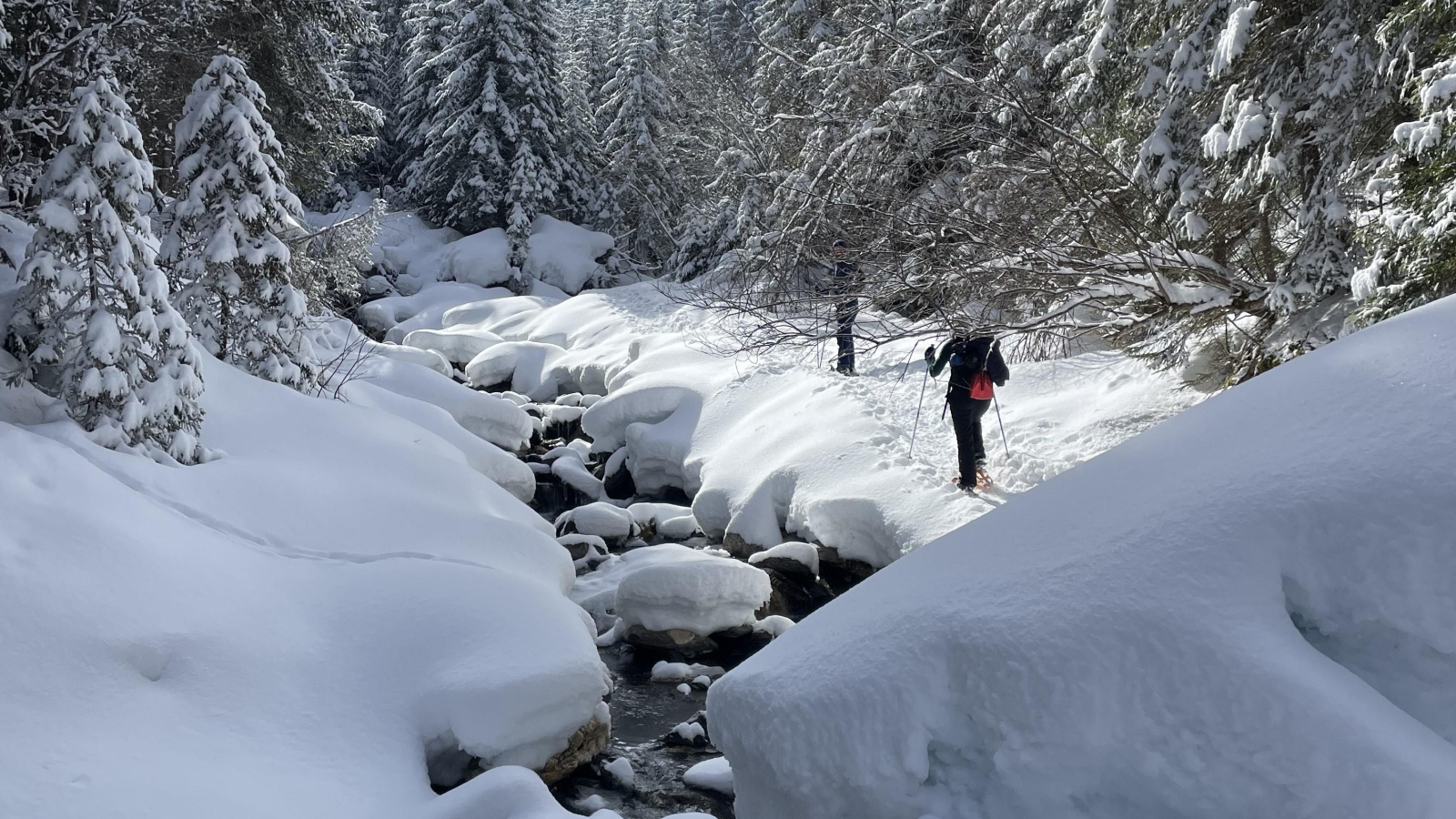 Randonneur en raquettes sur la neige à côté d'une rivière