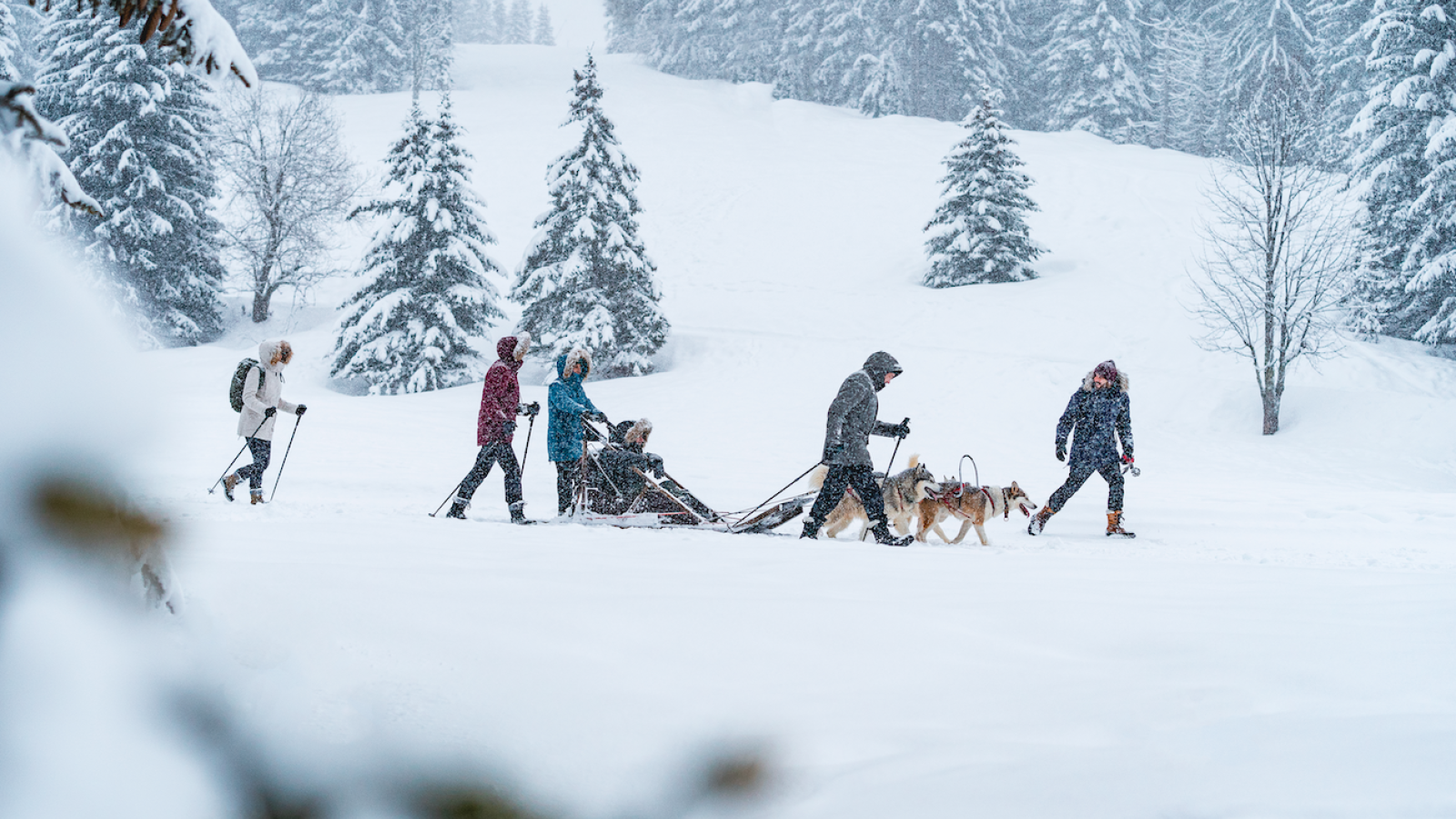 l'expérience sous la neige