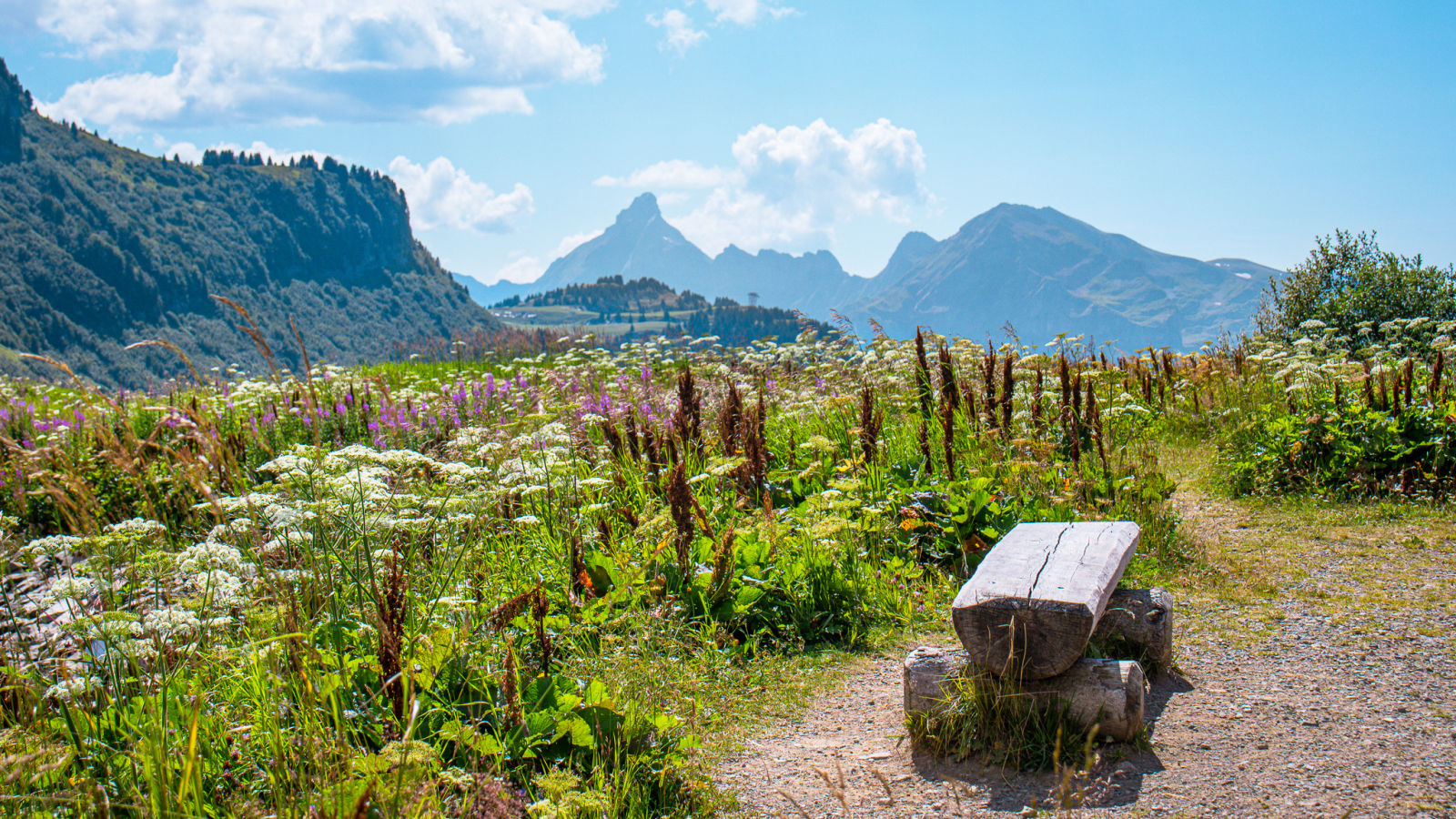 Un banc situé aux abords du lac avec vue sur la Pointe Percée en fond