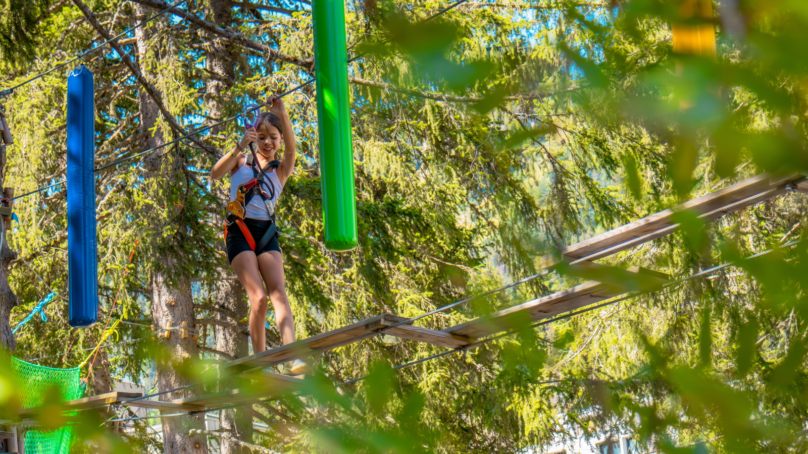 Treetop Adventure Trail - A passage strewn with pitfalls