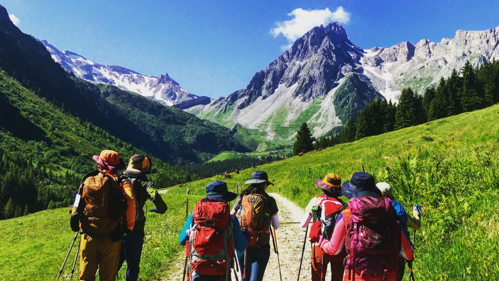 Randonneurs en montagne