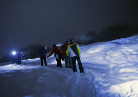 Snowshoeing by night