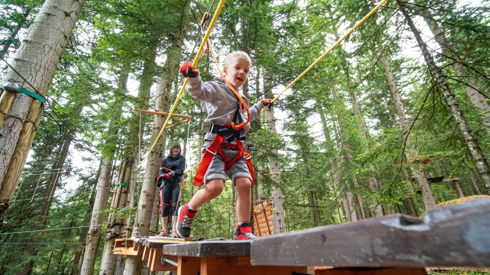 Parc aventure en forêt