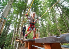 Parc aventure en forêt