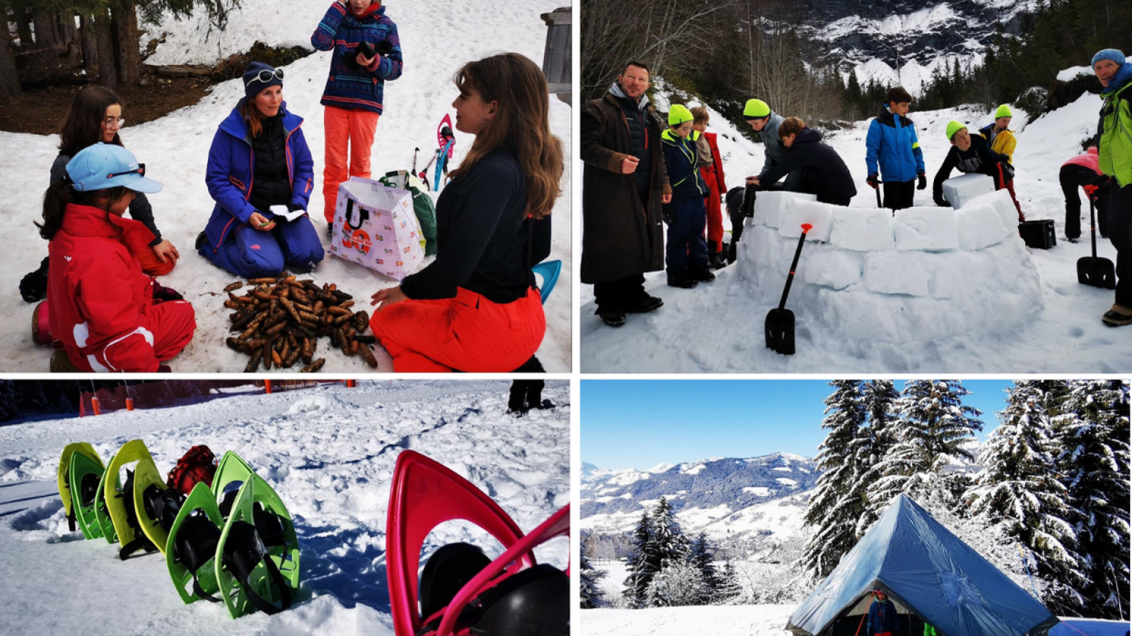 trappeurs-megeve.com